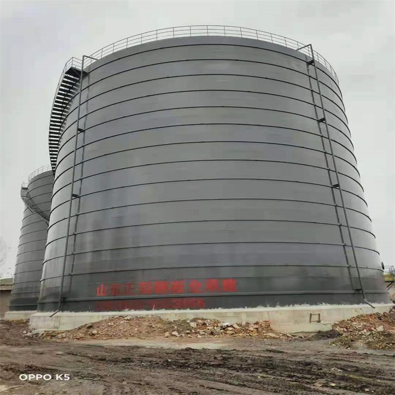 林口3万吨大型钢板库