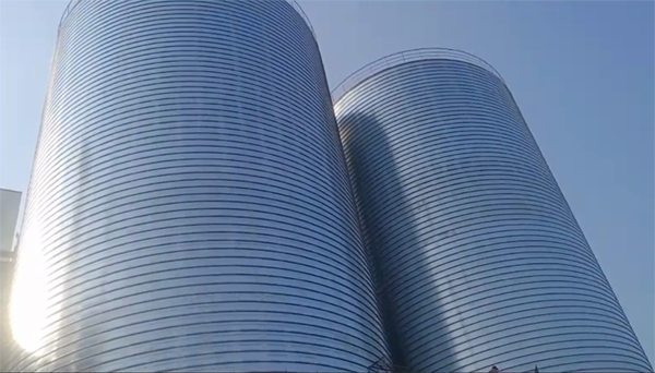 林口2座混凝土高架卷板仓